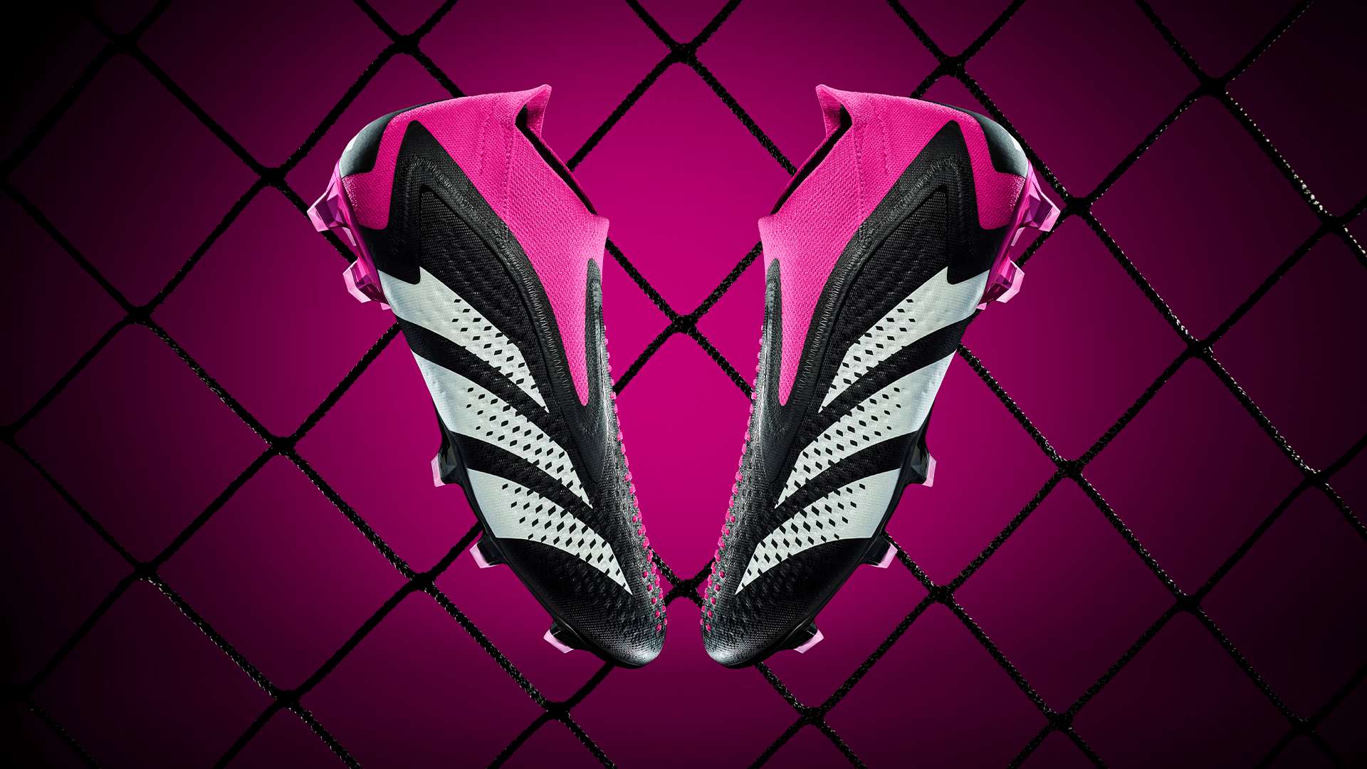 样的球队 样的球队