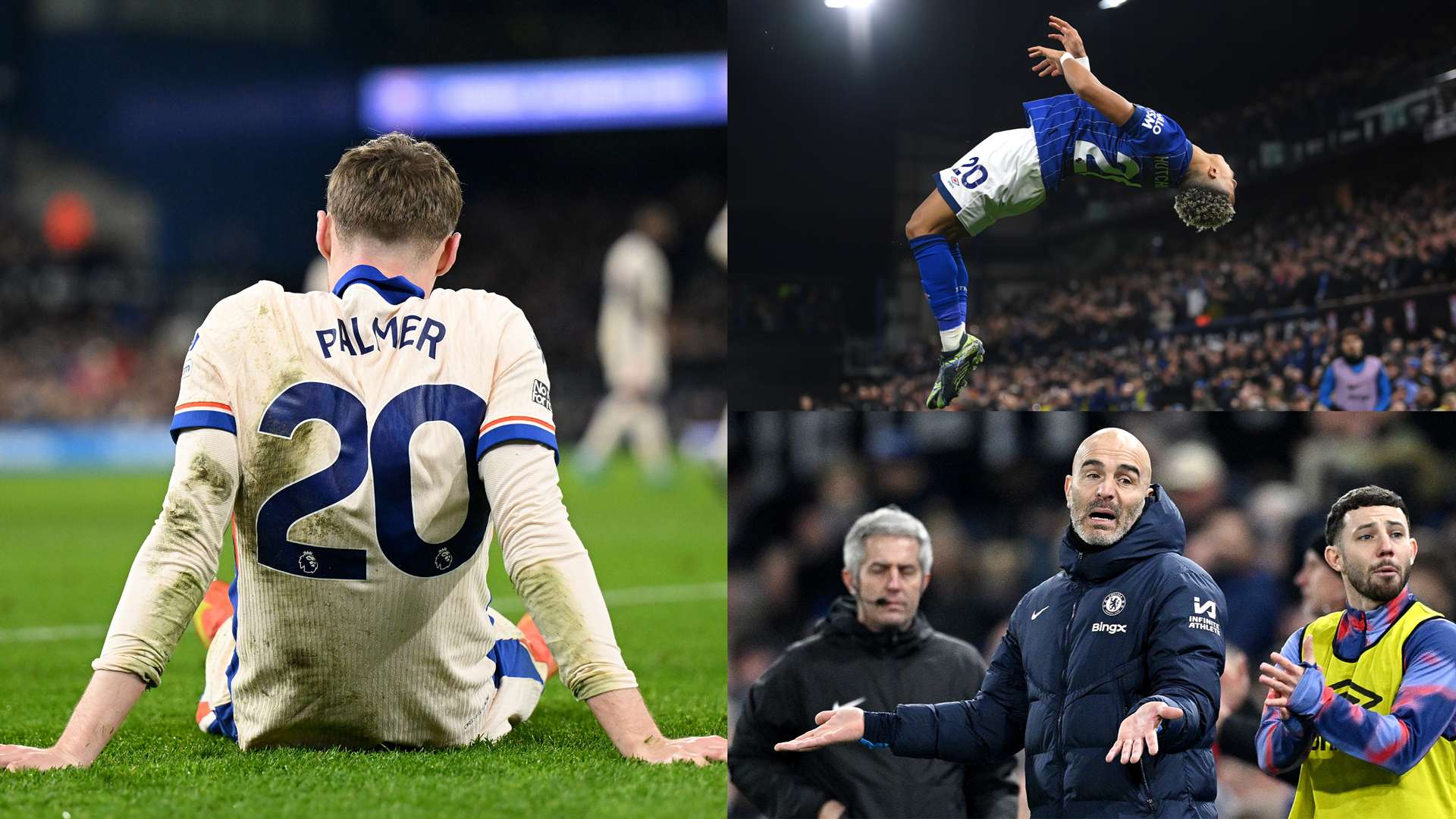 政治因素的 政治因素的