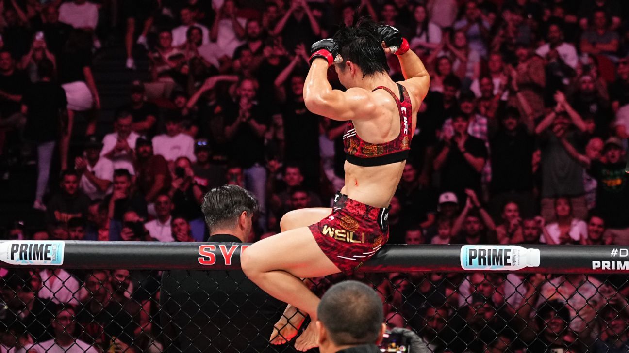 媒体的广泛 媒体的广泛