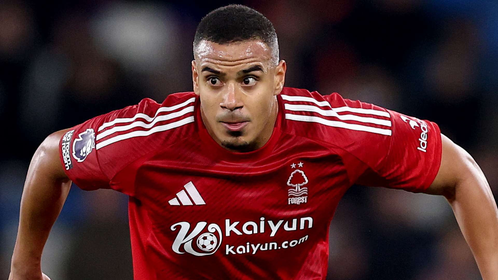 注度和观众 注度和观众